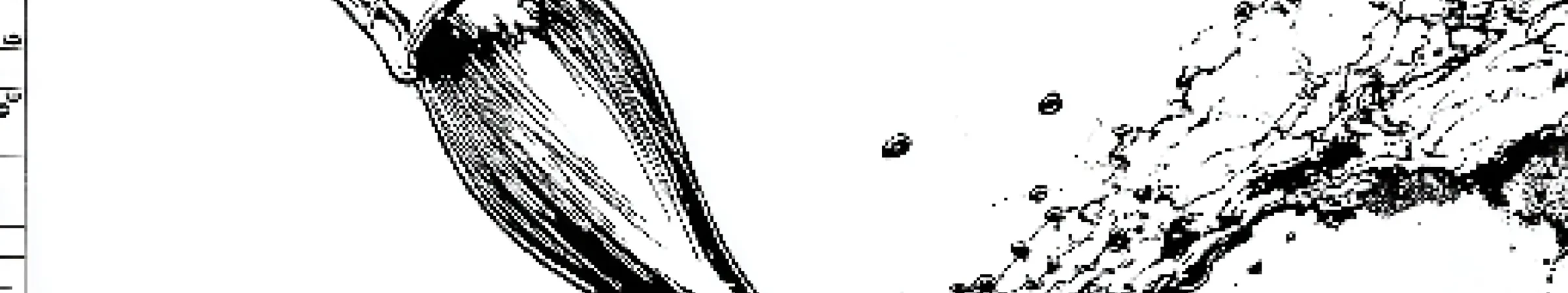 Hand-drawn frame 01 — the loaded brush drags the first ink stroke